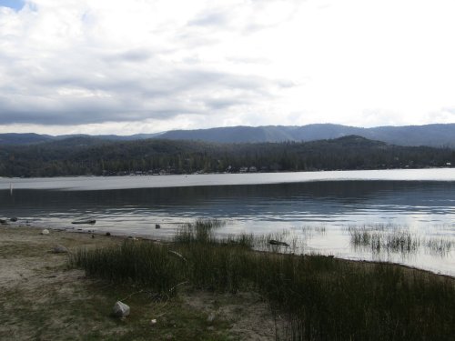 Tuolome Meadow 